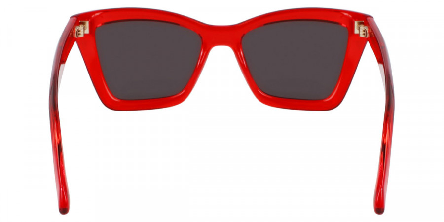 Color: Transparent Red (616) - Salvatore Ferragamo SFGSF2039SE61653