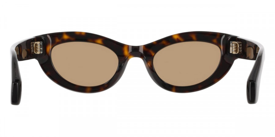 Color: Dark Tortoise (242) - Salvatore Ferragamo SFGSF2062SE24249