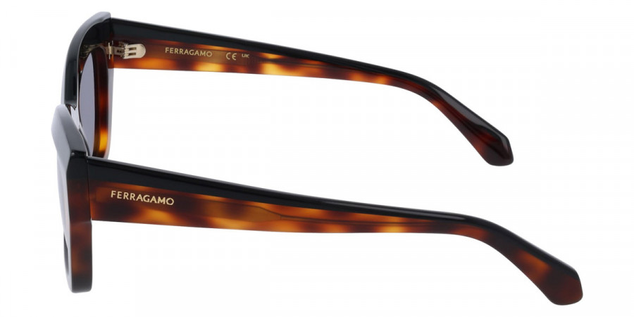 Color: Black/Tortoise (006) - Salvatore Ferragamo SFGSF2065S00654