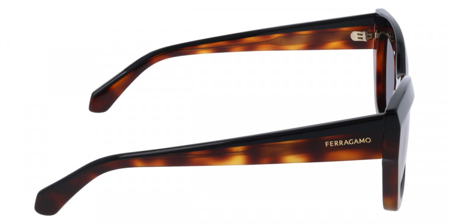 Color: Black/Tortoise (006) - Salvatore Ferragamo SFGSF2065S00654