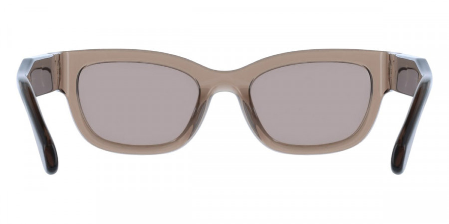 Color: Transparent Brown (232) - Salvatore Ferragamo SFGSF2067S23252