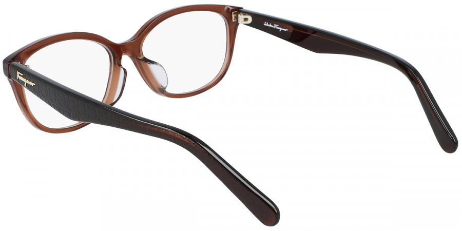 Color: Brown (210) - Salvatore Ferragamo SFGSF2857A21053