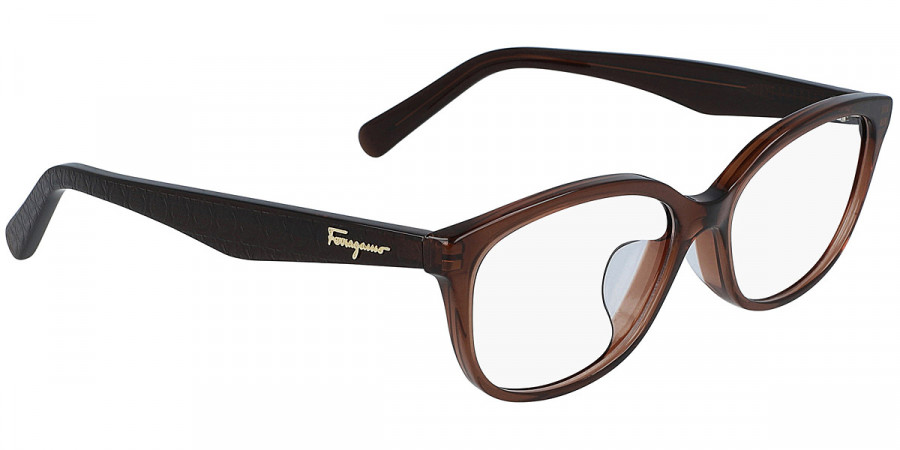 Color: Brown (210) - Salvatore Ferragamo SFGSF2857A21053