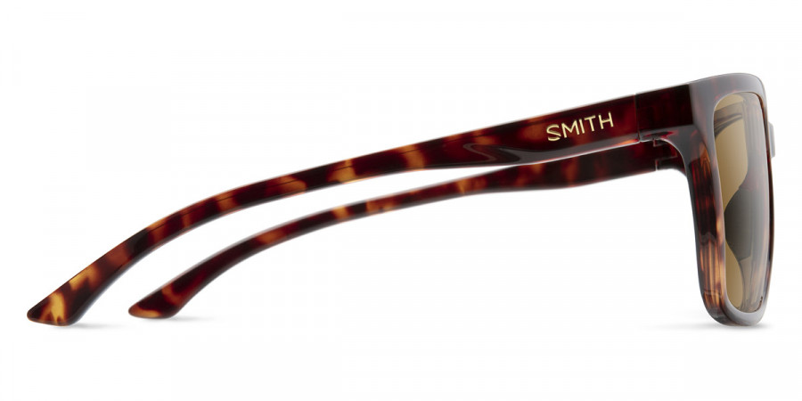 Color: Dark Havana (008670) - Smith SMTShoutout00867057