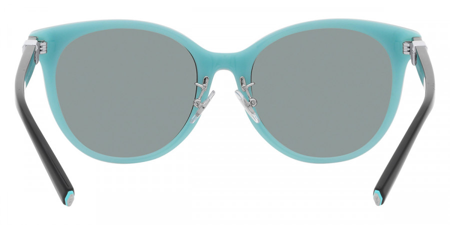 Tiffany™ - TF4209D