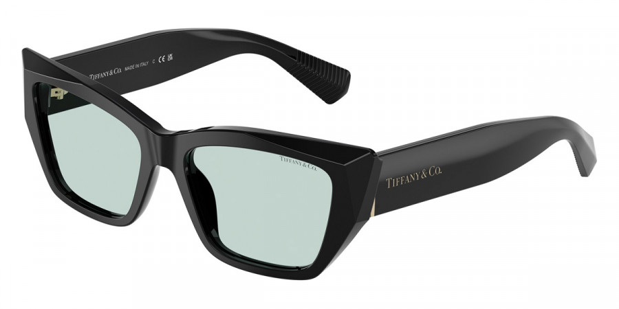 Tiffany™ TF4230F 8001D9 54 - Black