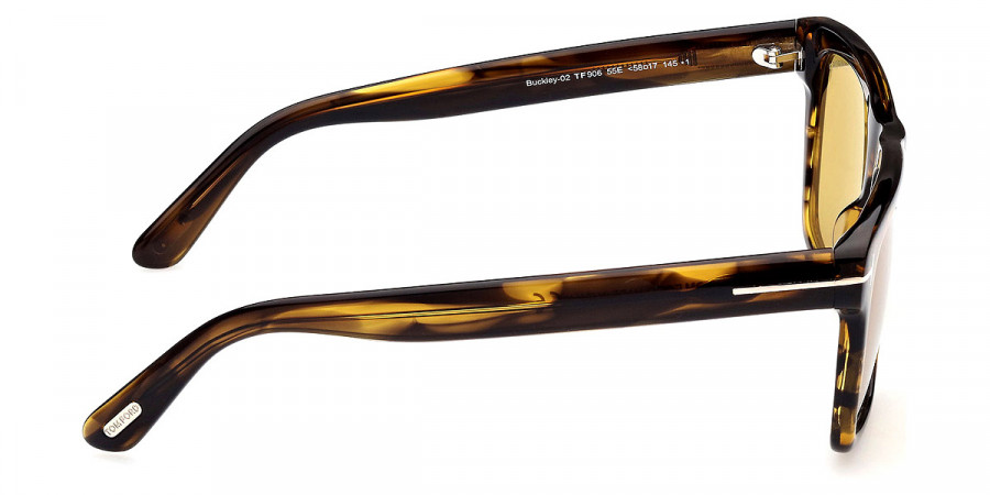 Color: Shiy Brown with Amber Stripes (55E) - Tom Ford FT0906Buckley-0255E56