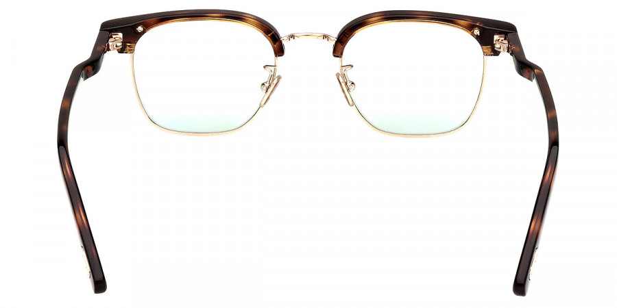 Color: Dark Havana (52N) - Tom Ford FT1119-D52N47