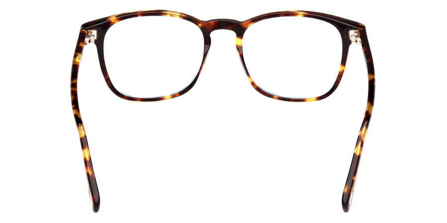 Color: Blonde Havana (053) - Tom Ford FT5960-B05352