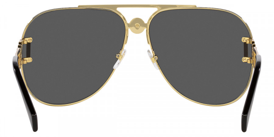 Color: Gold (100287) - Versace VE225510028763