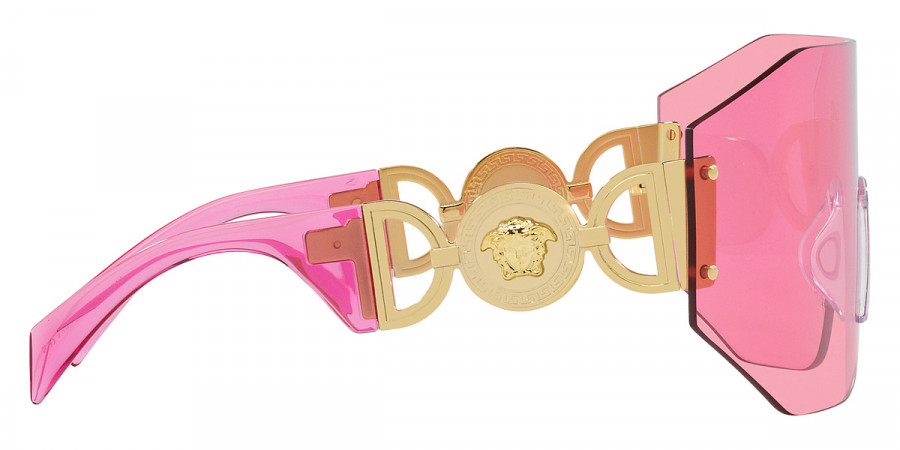 Color: Pink (100284) - Versace VE225810028445