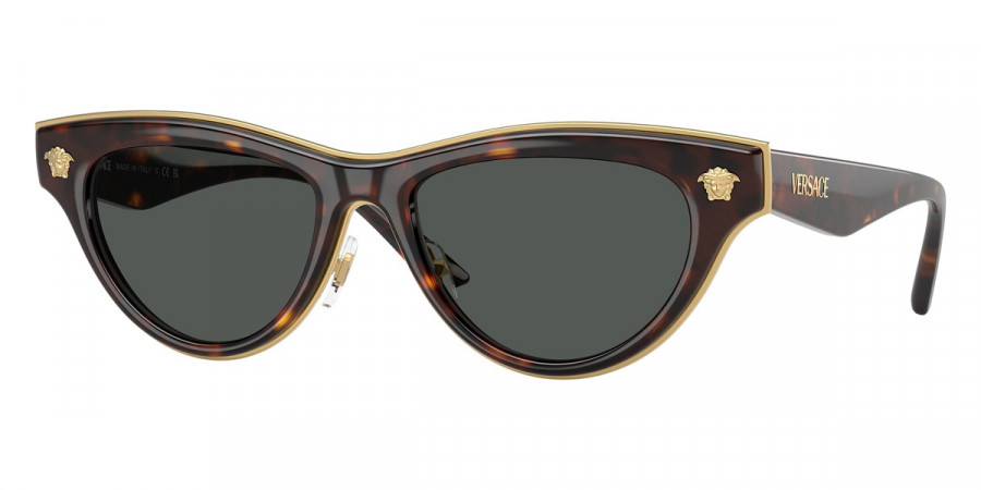 Versace™ - VE2273