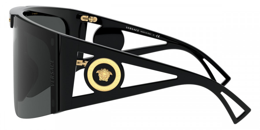 Versace™ - VE4393