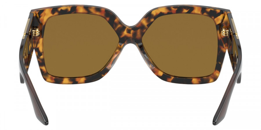 Color: Havana (511973) - Versace VE440251197359