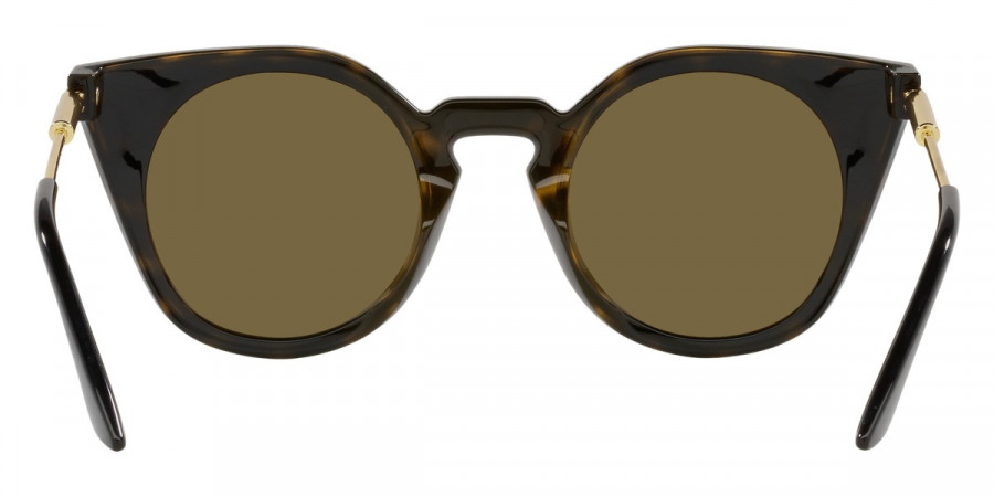 Color: Havana (108/73) - Versace VE4410108/7360