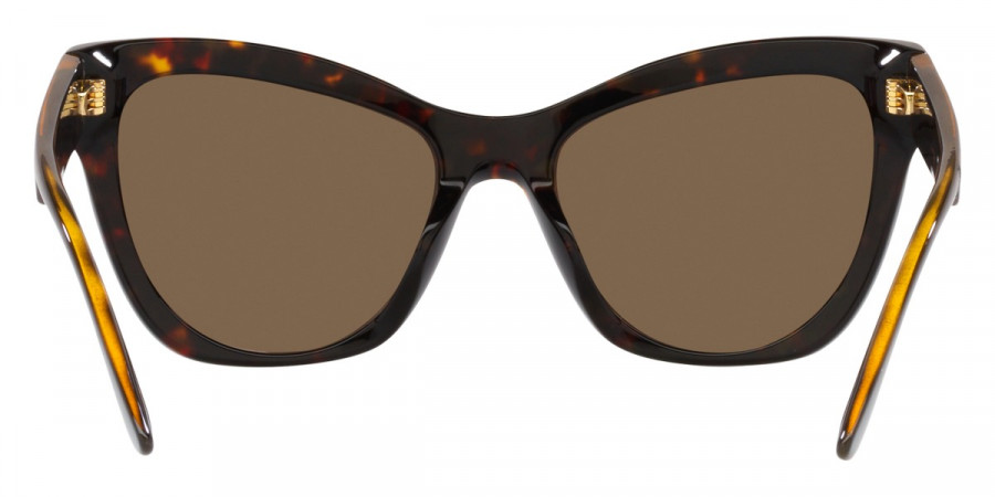 Color: Havana (108/73) - Versace VE4417U108/7356