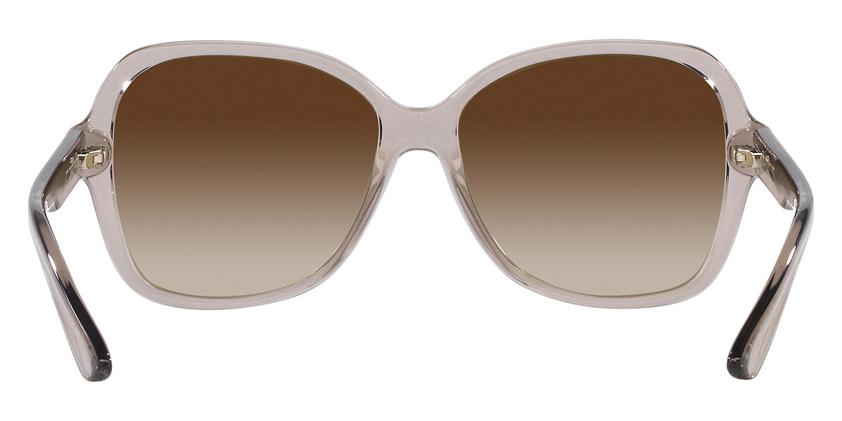 Color: Transparent Tundra (824013) - Armani Exchange AX4029S82401357