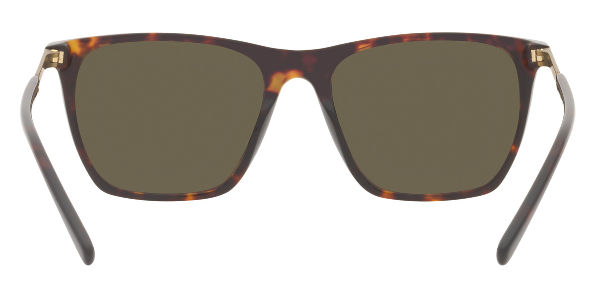 Color: Dark Tortoise (60653) - Brooks Brothers BB50456065356