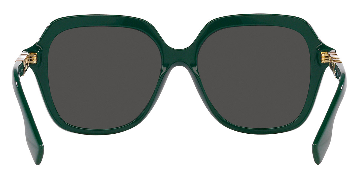 Color: Green (405987) - Burberry BE438940598755