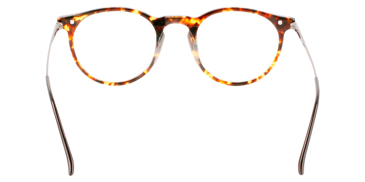 Color: Vintage Havana (237) - Calvin Klein CKOCK22527T23749