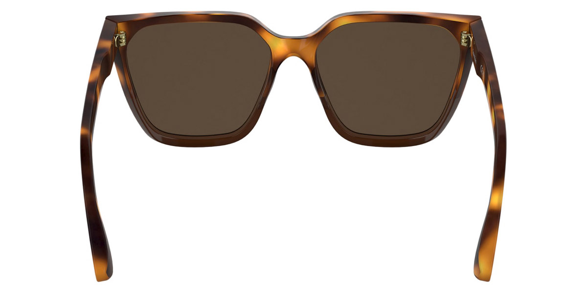 Color: Havana/Brown (238) - Calvin Klein CKOCK25500S23857