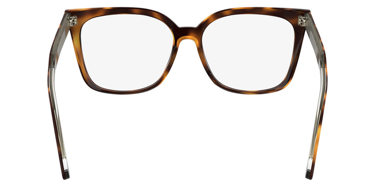 Color: Havana (240) - Calvin Klein CKOCK2551124055