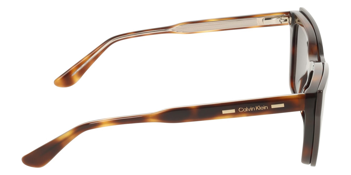 Color: Havana (242) - Calvin Klein CKOCK25531MAG-SET24253