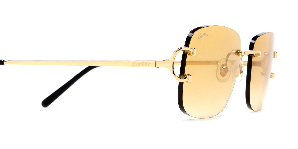 Color: Gold (002) - Cartier CT0011RS00258