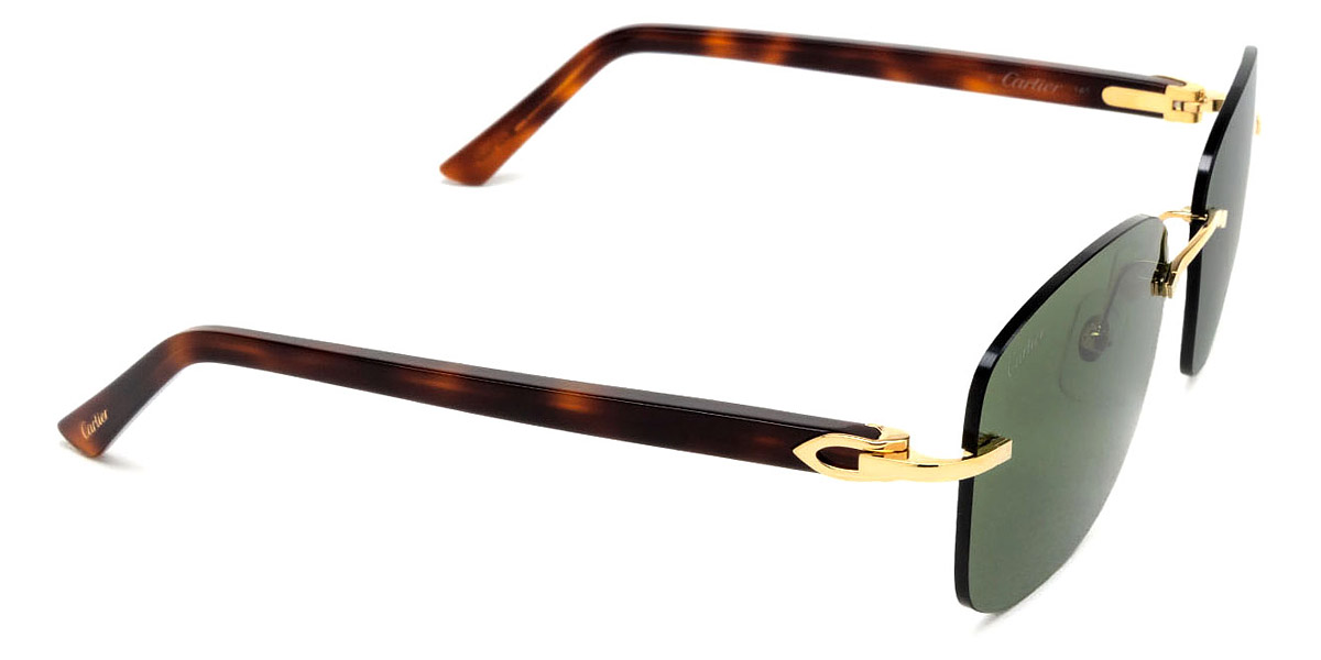 Color: Gold/Havana (002) - Cartier CT0227S00258