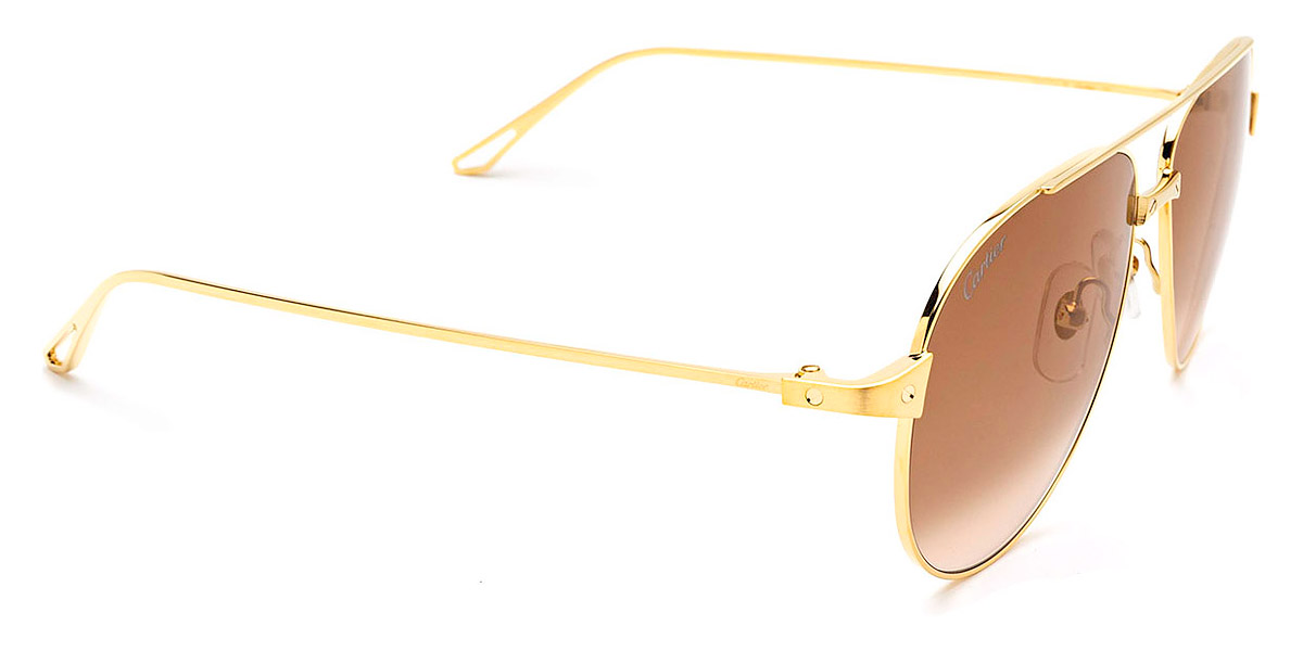 Color: Gold (002) - Cartier CT0298S00257