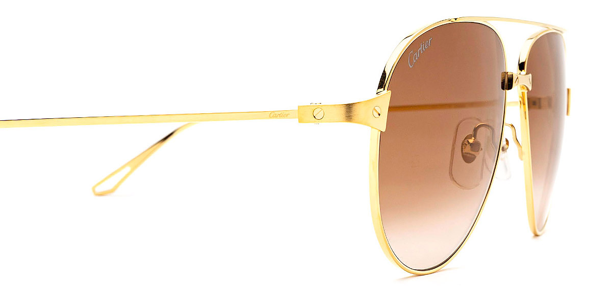 Color: Gold (002) - Cartier CT0298S00257