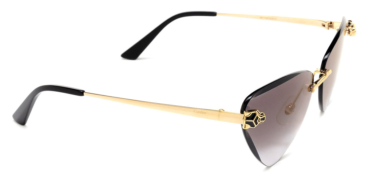 Color: Gold (001) - Cartier CT0399S00162