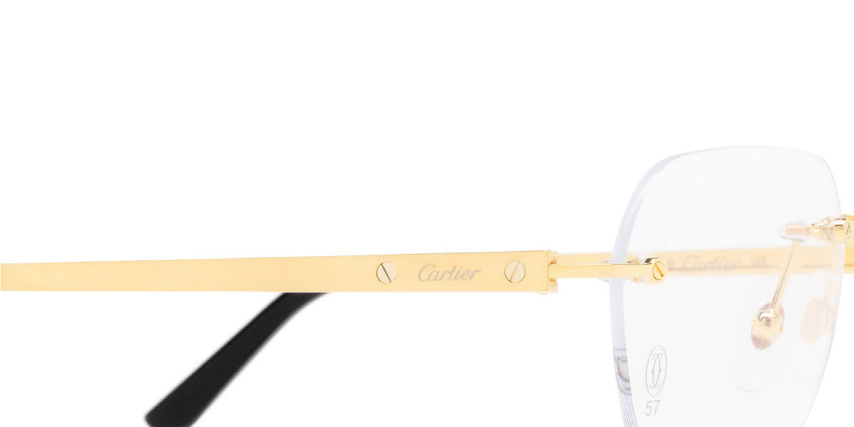 Cartier™ - CT0407O Santos De Cartier