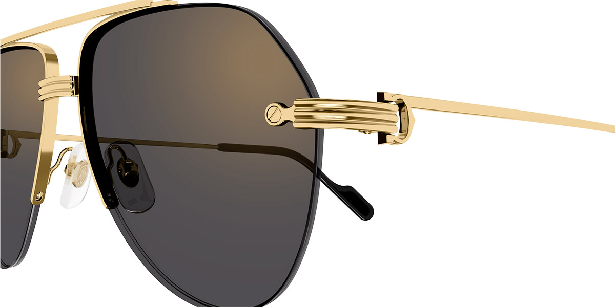 Color: Gold (001) - Cartier CT0427S00158