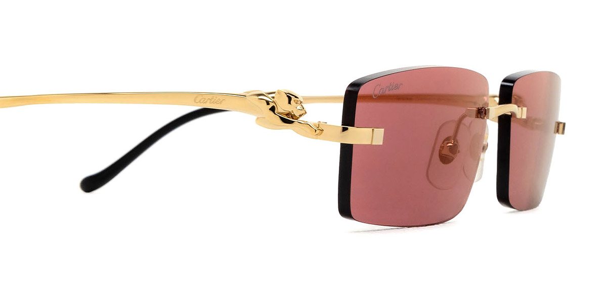 Color: Gold (009) - Cartier CT0430S00958