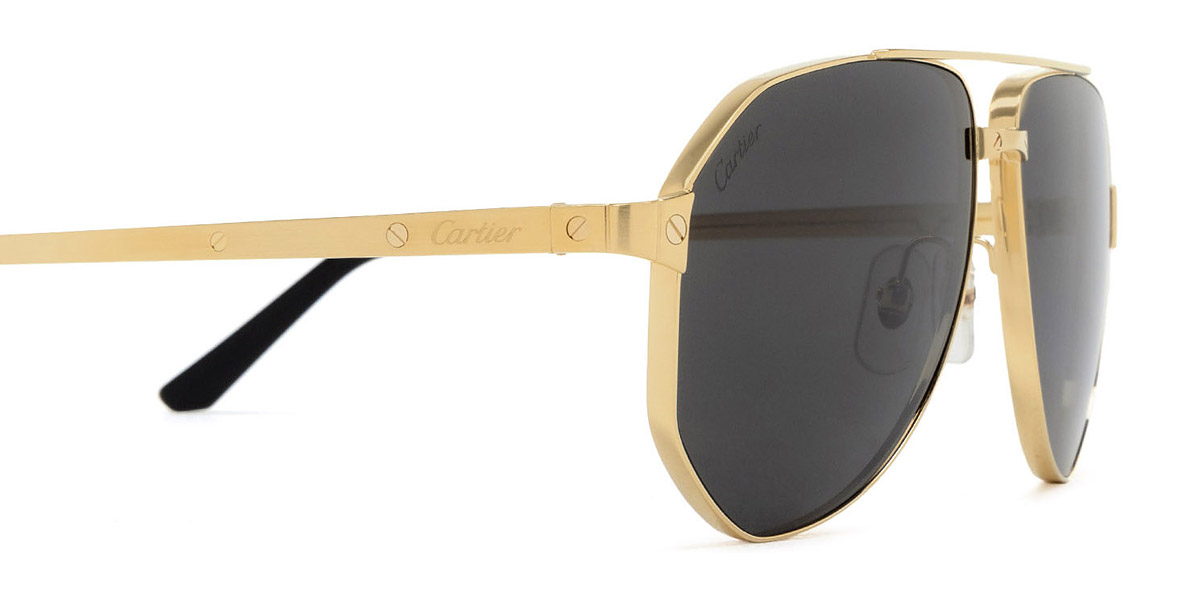 Color: Gold (001) - Cartier CT0461S00160