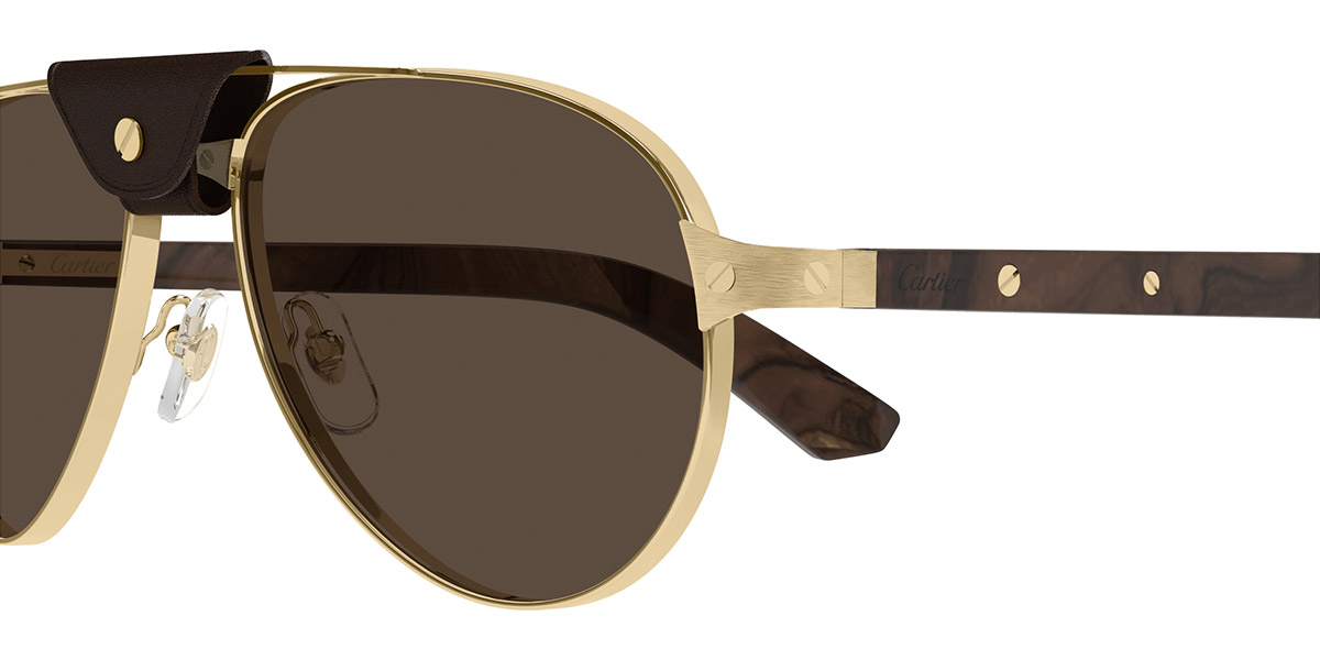 Color: Gold/Brown (004) - Cartier CT0495S00459