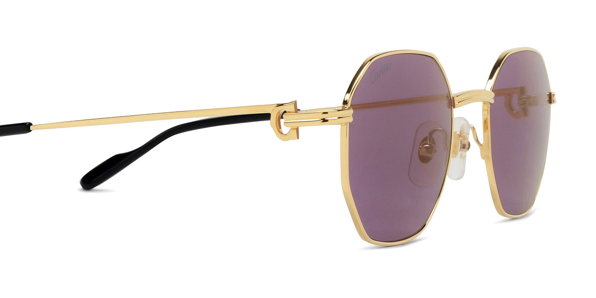 Color: Gold (004) - Cartier CT0500S00450