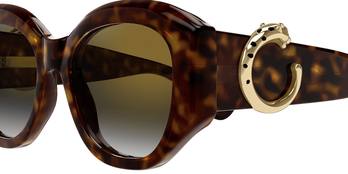 Color: Havana (002) - Cartier CT0502S00253