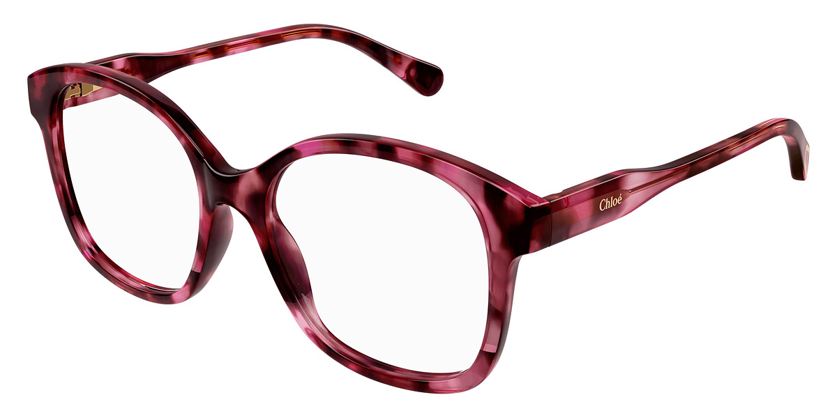 Color: Havana (006) - Chloé CC0013O00648