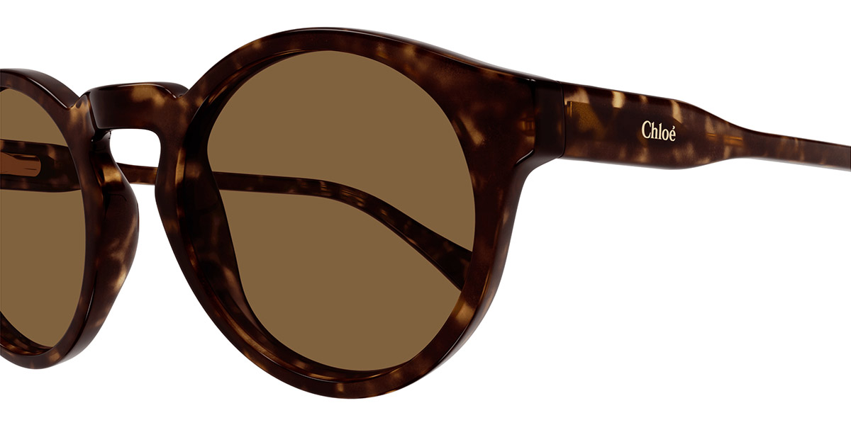 Color: Havana (006) - Chloé CC0014S00646