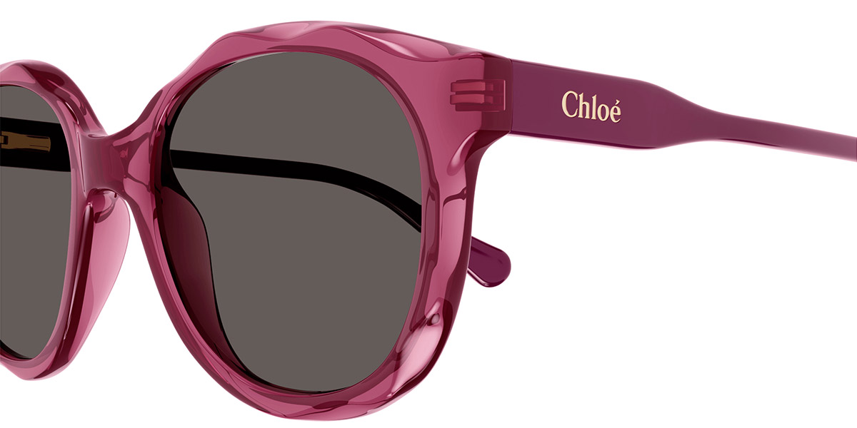 Color: Pink/Violet (003) - Chloé CC0019S00347