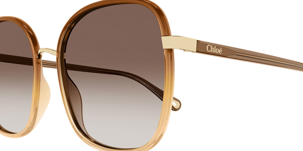 Color: Brown (012) - Chloé CH0031S01259