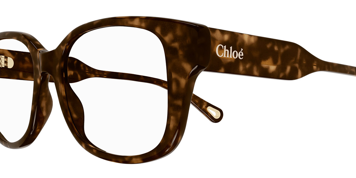 Color: Havana (007) - Chloé CH0198O00753