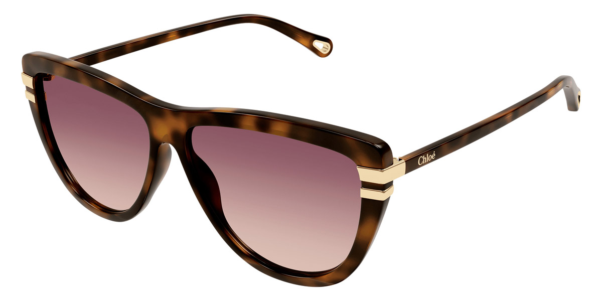 Color: Havana (002) - Chloé CH0203S00259