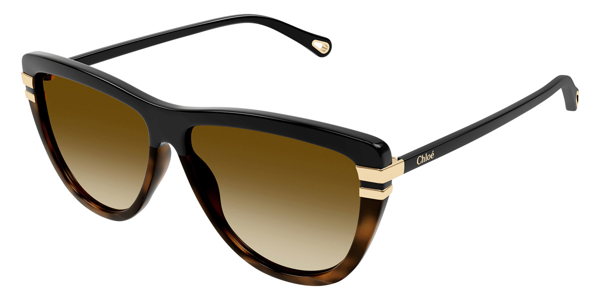 Color: Black (003) - Chloé CH0203S00359