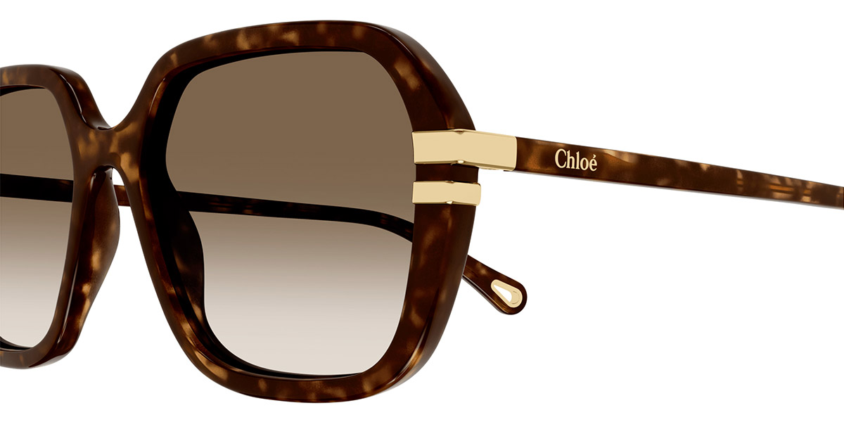 Color: Havana (002) - Chloé CH0204S00257