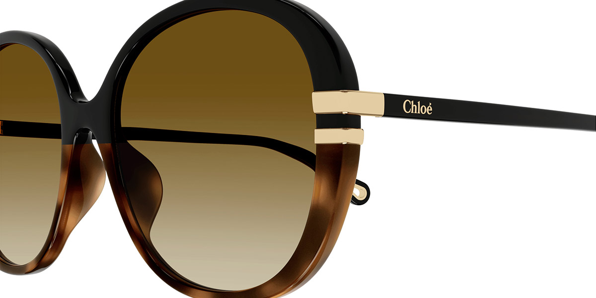 Color: Black (003) - Chloé CH0207SK00358