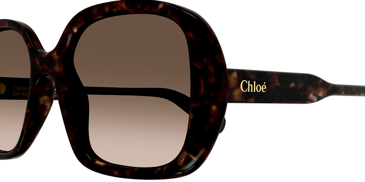 Color: Havana (002) - Chloé CH0222S00255