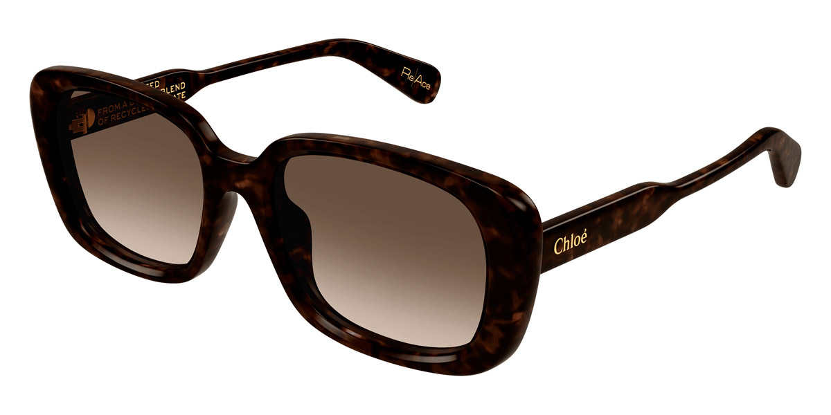 Color: Havana (002) - Chloé CH0225SK00255